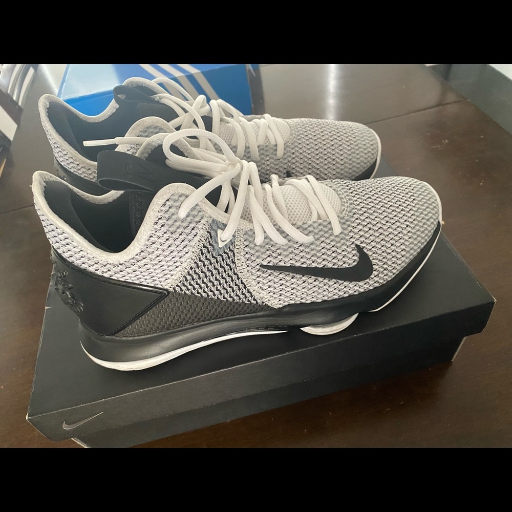 Lebron Witness IV